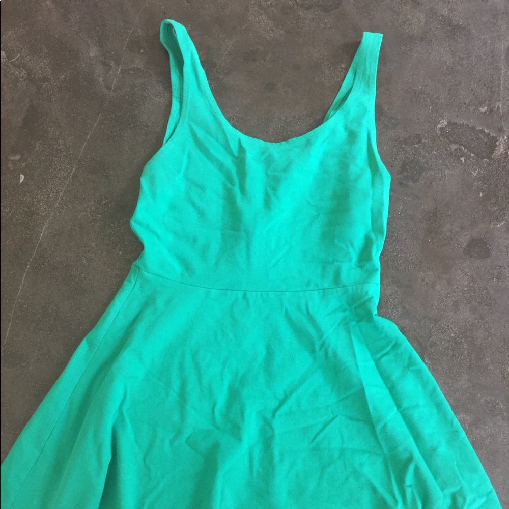 Express Skater Dress